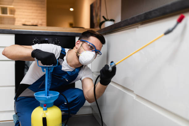 Best Pest Prevention Services  in Albany, GA
