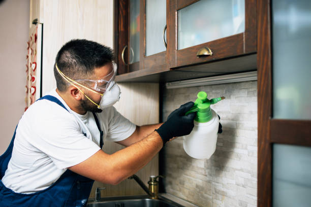 Wasp Removal Services in Albany, GA