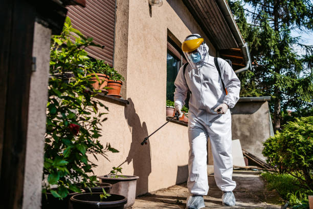 Best Wasp Removal Services  in Albany, GA
