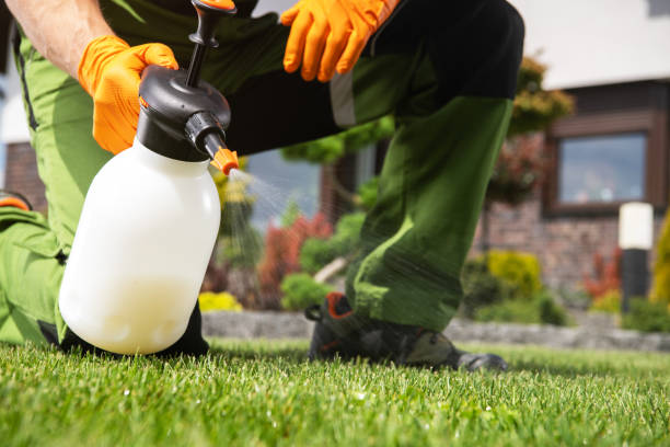 Trusted Albany, GA Pest Control Experts