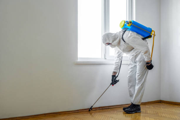 Best Rat Extermination Near Me  in Albany, GA