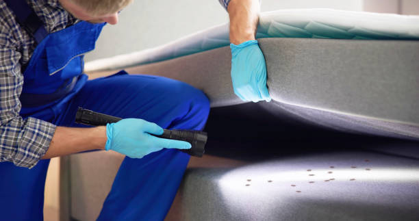 Best Pest Control Near Me in Albany, GA
